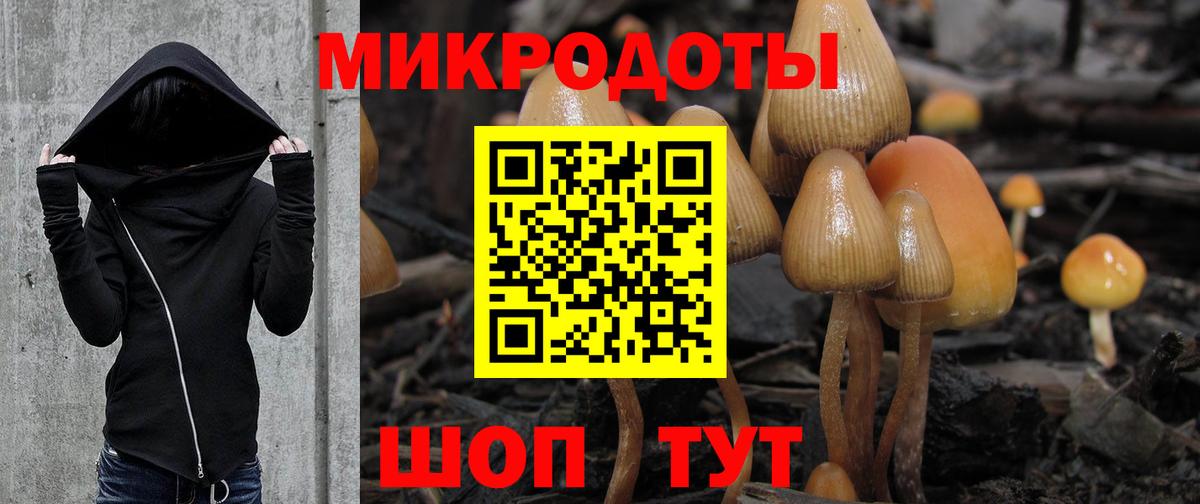 Псилоцибиновые грибы прущие грибы Спасск-Дальний