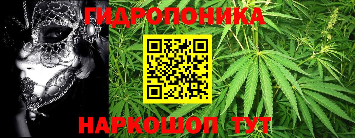 Бошки Шишки ГИДРОПОН  Вход с VPN  Канабис сатива  Спасск-Дальний  Каннабис Ganja 